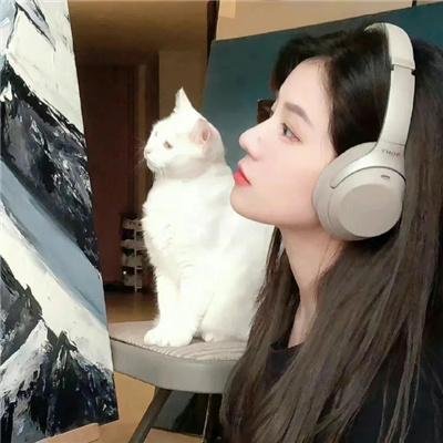 完美配对谋杀案