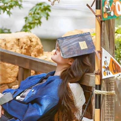热铁皮屋顶上的猫